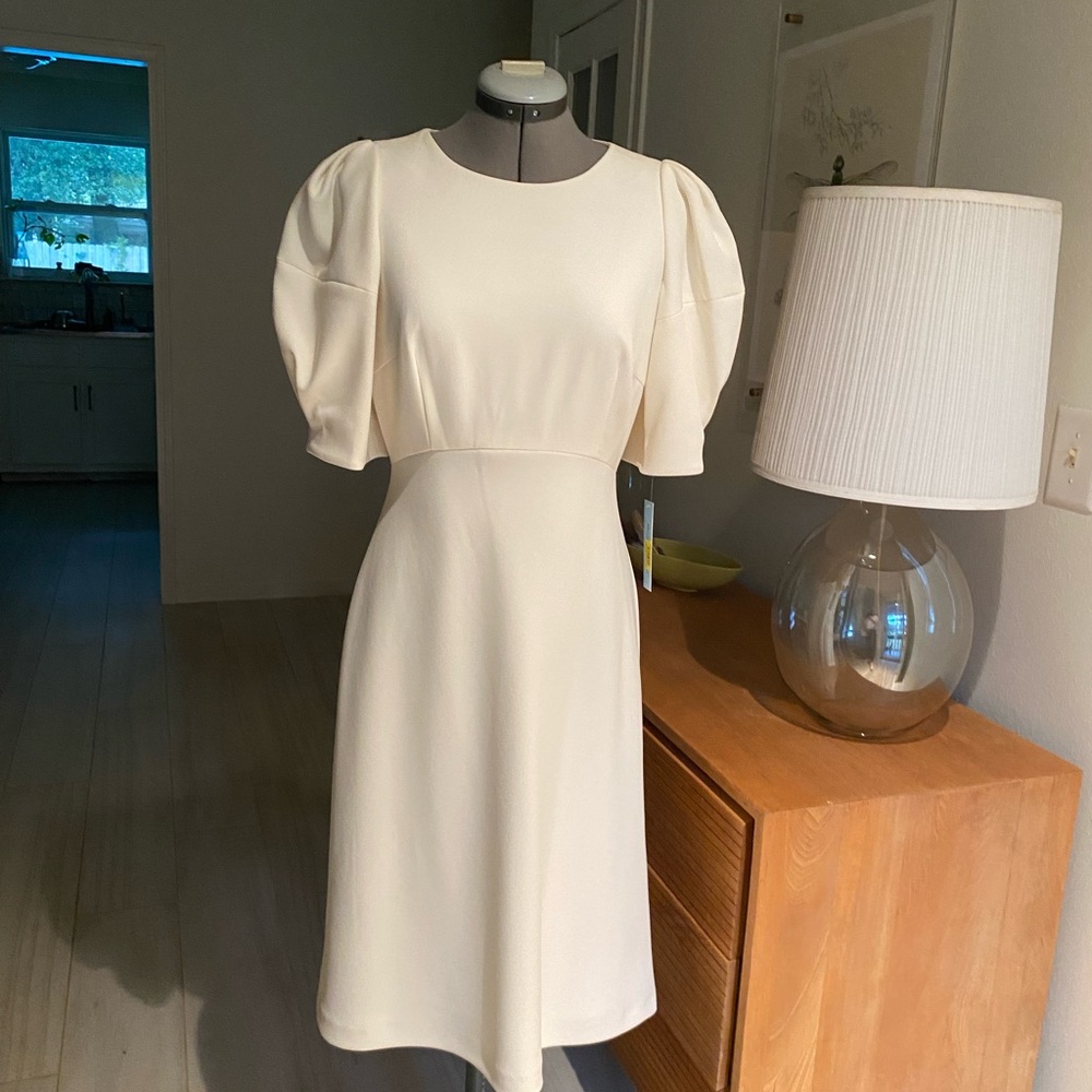 Gorgeous Antonio Melani dress